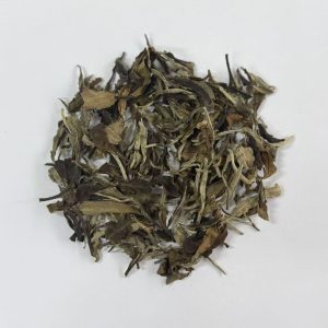 white peony white tea bulk