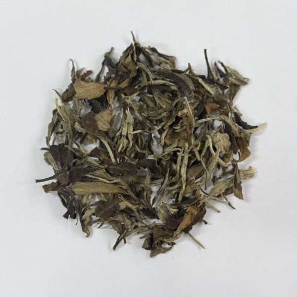 White Peony White Tea